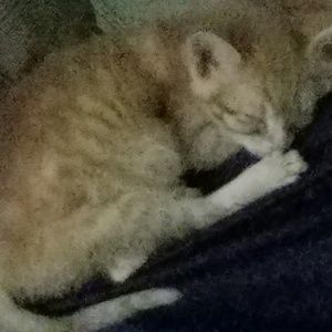 Meet your Posher, Marian